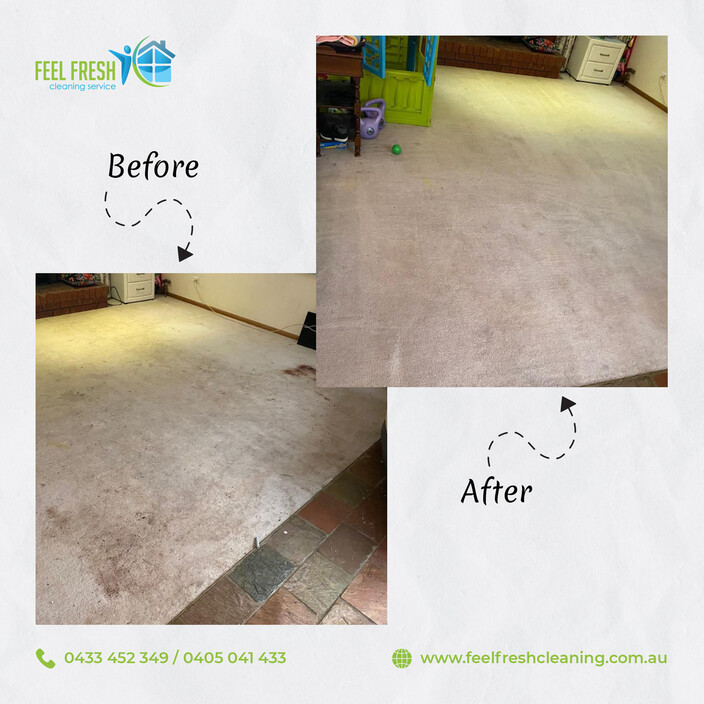 Feel Fresh Cleaning Service Pic 1 - Carpet Cleaner Melbourne