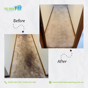 Feel Fresh Cleaning Service Pic 3 - Carpet Cleaning Melbourne