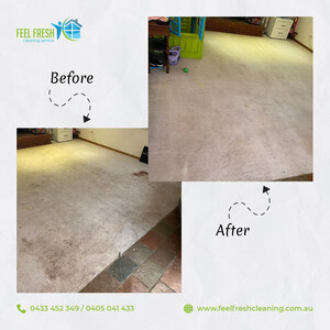 Feel Fresh Cleaning Service Pic 5 - Carpet Cleaner Melbourne