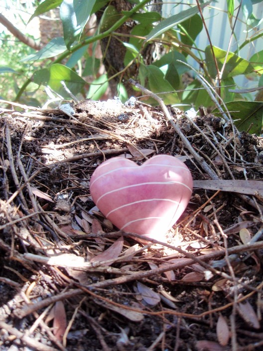 Adelaide Mindfulness Pic 1 - The Hearts Nest