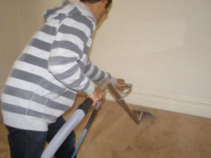 Cleantoshine Housekeeping Services Pic 5