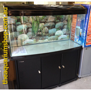 The Aquarium Shop Pic 2