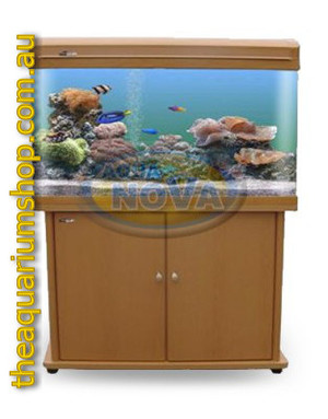 The Aquarium Shop Pic 4