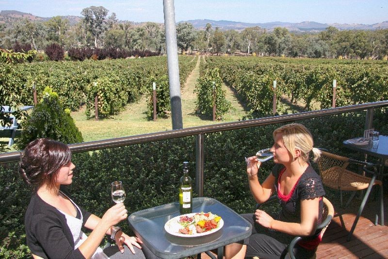 Gapsted Wines Pic 1 - Cheers enjoying the view at Gapsted Wines