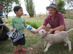 Bellevue Farmstay Pic 1 - Visitors