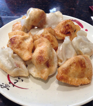 Dumpling King Chinese Restaurant Pic 4 - Fried pork dumplings