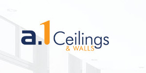 A1 Ceilings & Walls Pic 2