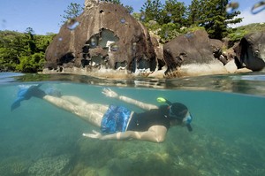 Queensland Yacht Charters Pic 3 - Snorkelling