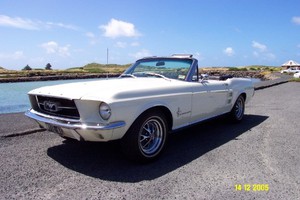 Wyte67 Mustang Hire Pic 2 - mustang hire