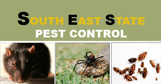 SES Pest Control Pic 1