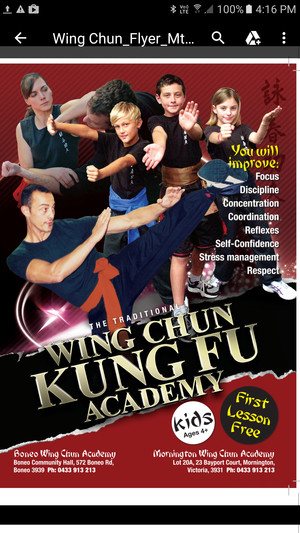 Wing Chun Universe Pic 4