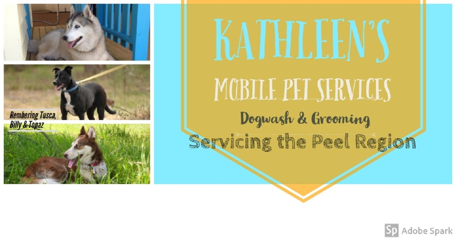 Kathleens Mobile Pet Services Pic 2