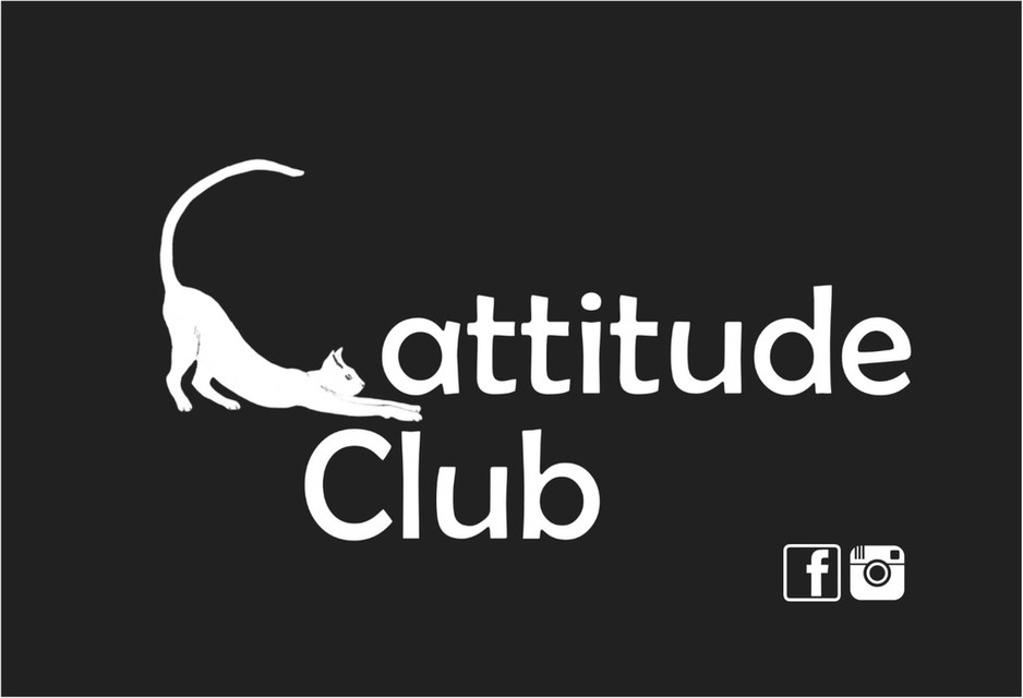 Cattitude Club Pic 1