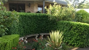 All Home Services-Vicki's Garden Maintenance Pic 3