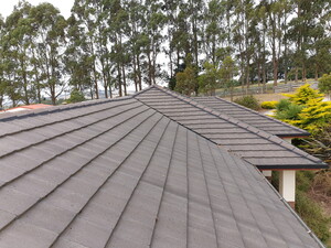 AGS Roofing Pic 2