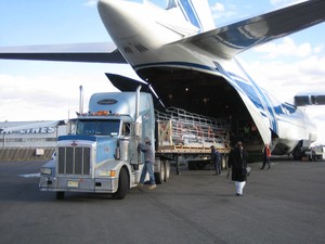 Cargo Up Pty Ltd Pic 4 - Air Freight Forwarding Services