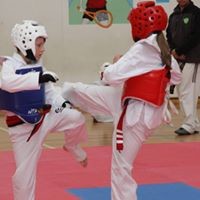 SES Taekwondo Pic 5 - This is not just a sport