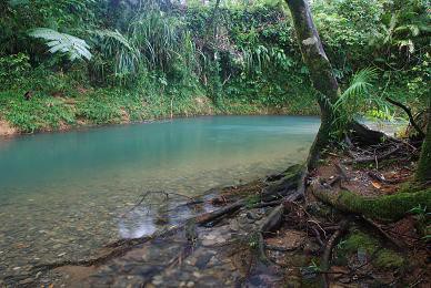 Daintree Heritage Lodge And Spa Pic 1 - Relax in the Rainforest