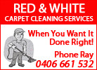 Red & White Carpet Cleaning Pic 3 - carpet cleaning Salisbury