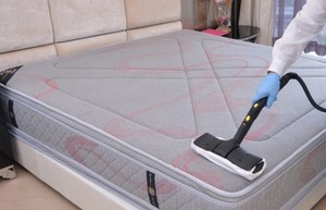 friendly cleaners melbourne Pic 2 - Mattress Cleaning