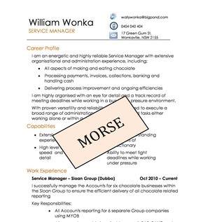 Absolute Resume Writing Services Pic 3