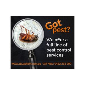 Squash'em Pest Control Pic 2 - Got Pests Squashem Pest Control