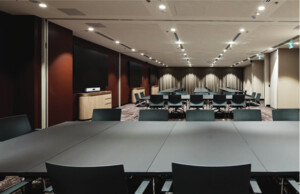 Tow24 Conferencing Pic 2 - Board Room