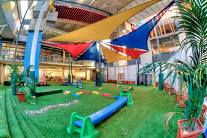 Barangaroo Montessori Academy Pic 3