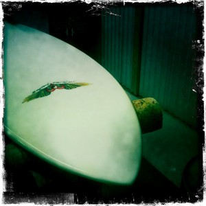 Dr Ding surfboards company