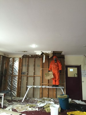 Gavin's Carpet Care Pic 4 - Mould remediation job on a commercial site