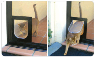 Petdoors.net.au Pic 1 - cat door glass door pane