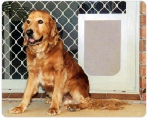 Petdoors.net.au Pic 5 - Large dog door grill fitting also available in medium dog door size