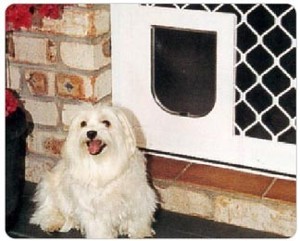 Petdoors.net.au Pic 4 - small dog door security grill or security mesh fitting