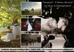 Tamborine Mountain Wedding Gallery Pic 5 - Looking for Transport Music Entertainment or a Nanny Service