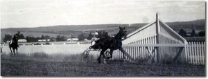 Ballarat & District Trotting Club Inc Pic 2