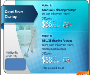 Excellent Steam & Dry Cleaning Service Pic 2 - Carpet Cleaning Deal