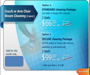 Excellent Steam & Dry Cleaning Service Pic 3 - Sofa Cleaning deal