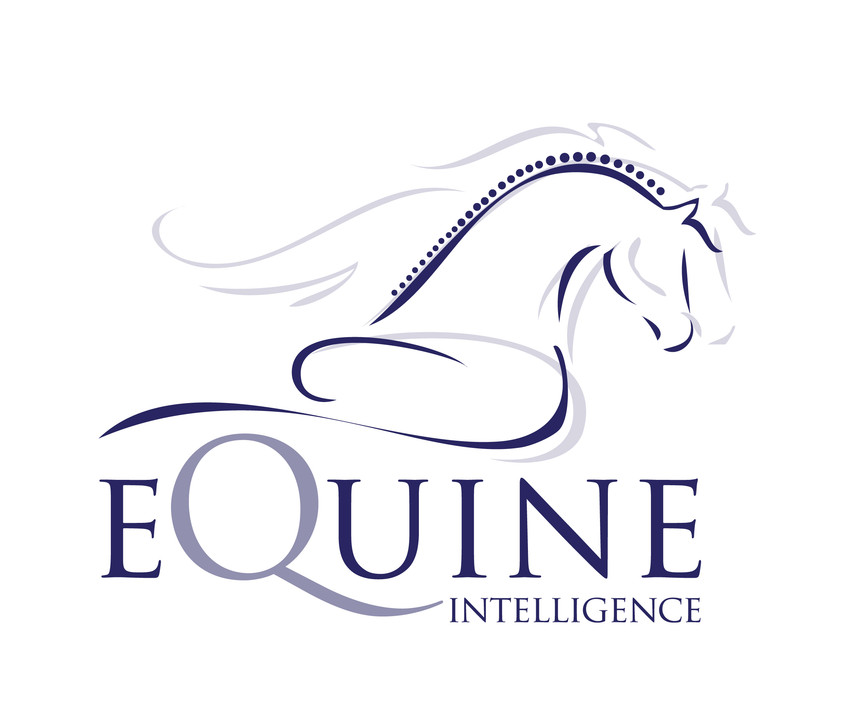 Equine Intelligence Pic 1 - Equine Intelligence