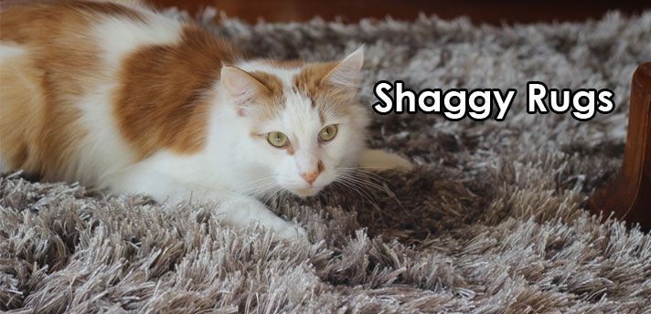 Mr Rugs Pic 1 - Shaggy Rugs