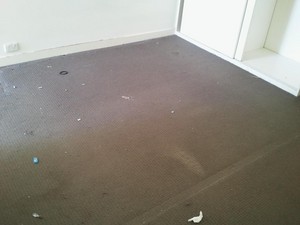 Crown Property Services Pic 5 - Carpetbefore