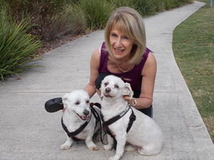 Vicki's Petsitting Home Care & Dog Walking Service Pic 2