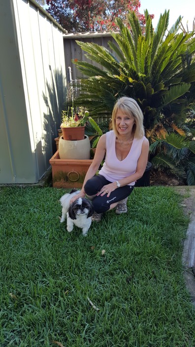 Vicki's Petsitting Home Care & Dog Walking Service Pic 1