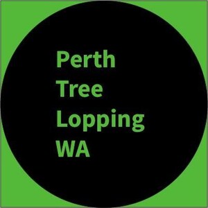 Perth Tree Lopping WA Pic 3