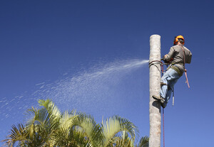 Perth Tree Lopping WA Pic 5