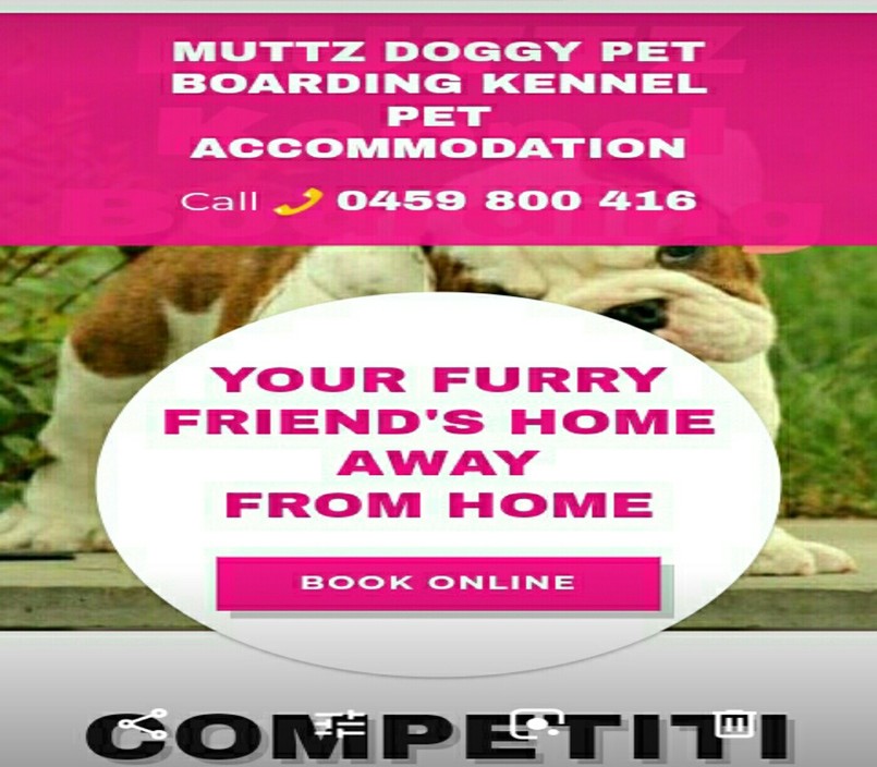 Muttz & Pawz Pet Boarding Kennel Pic 2 - httpsmuttzandpawzpetboardingcom