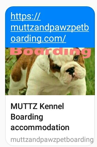 Muttz & Pawz Pet Boarding Kennel Pic 1 - httpsmuttzandpawzpetboardingcom