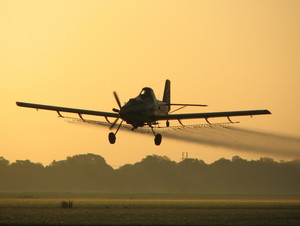 Field Air Riverina Pic 4