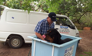 Rid-a-flea Mobile Dog Wash Pic 4 - Me my second van and one happy customer 2015