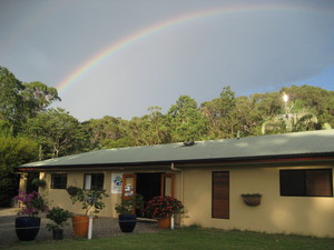 Kuranda Pet Resort Pic 4 - Modern facilities in a country location less than 20 minutes from Cairns