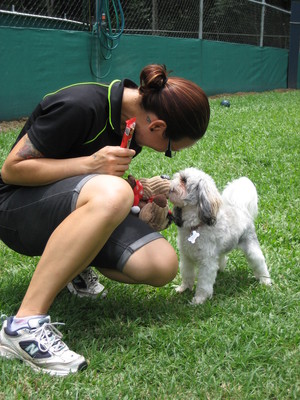 Kuranda Pet Resort Pic 5 - Xmas day and its pressie time